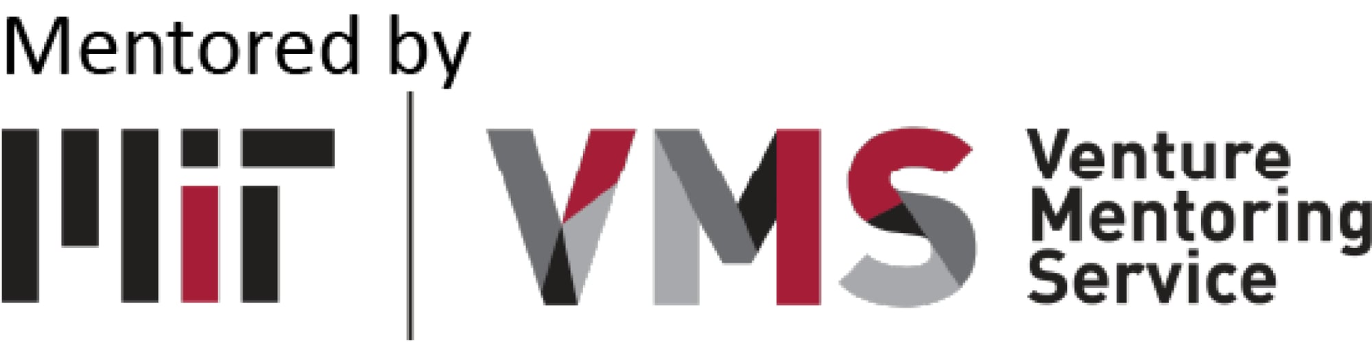 Mentored by MIT VMS white